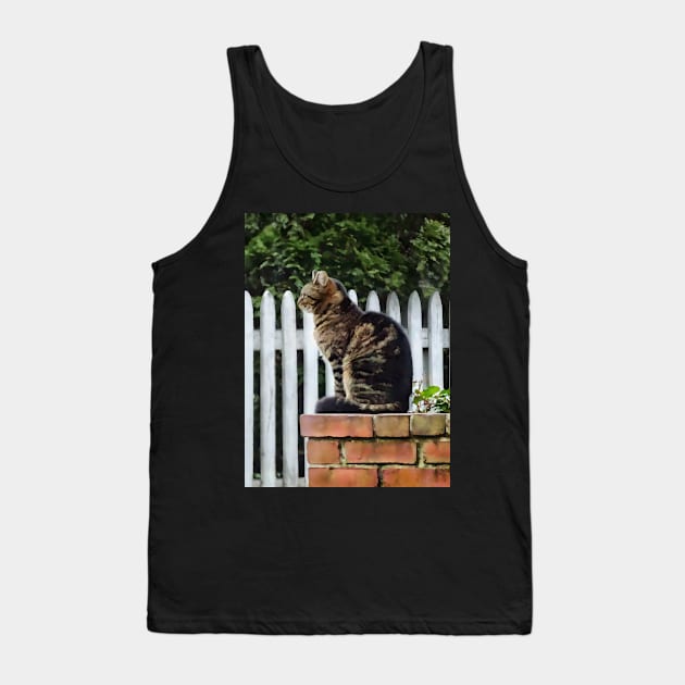 Tabby Cat on Brick Wall Tank Top by SusanSavad